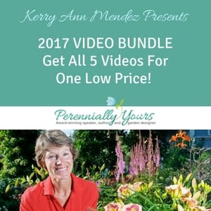 video bundle from Kerry Ann Mendez