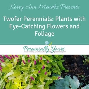 Video image - Twofer Perennials