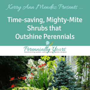 Webinar registration for 'Time-Saving, Mighty-Mite Shrubs that Outshine Perennials' by Kerry And Mendez.