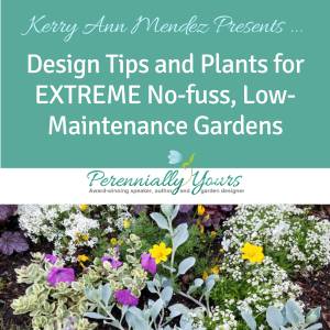 2025 Webinar Design Tips and Plants for EXTREME No-fuss, Low-Maintenance Gardensey and Time!