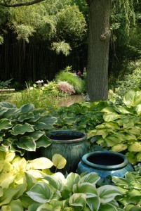 Hosta with containers by Laura Deeter