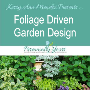 VIDEO: Foliage Driven Garden Design