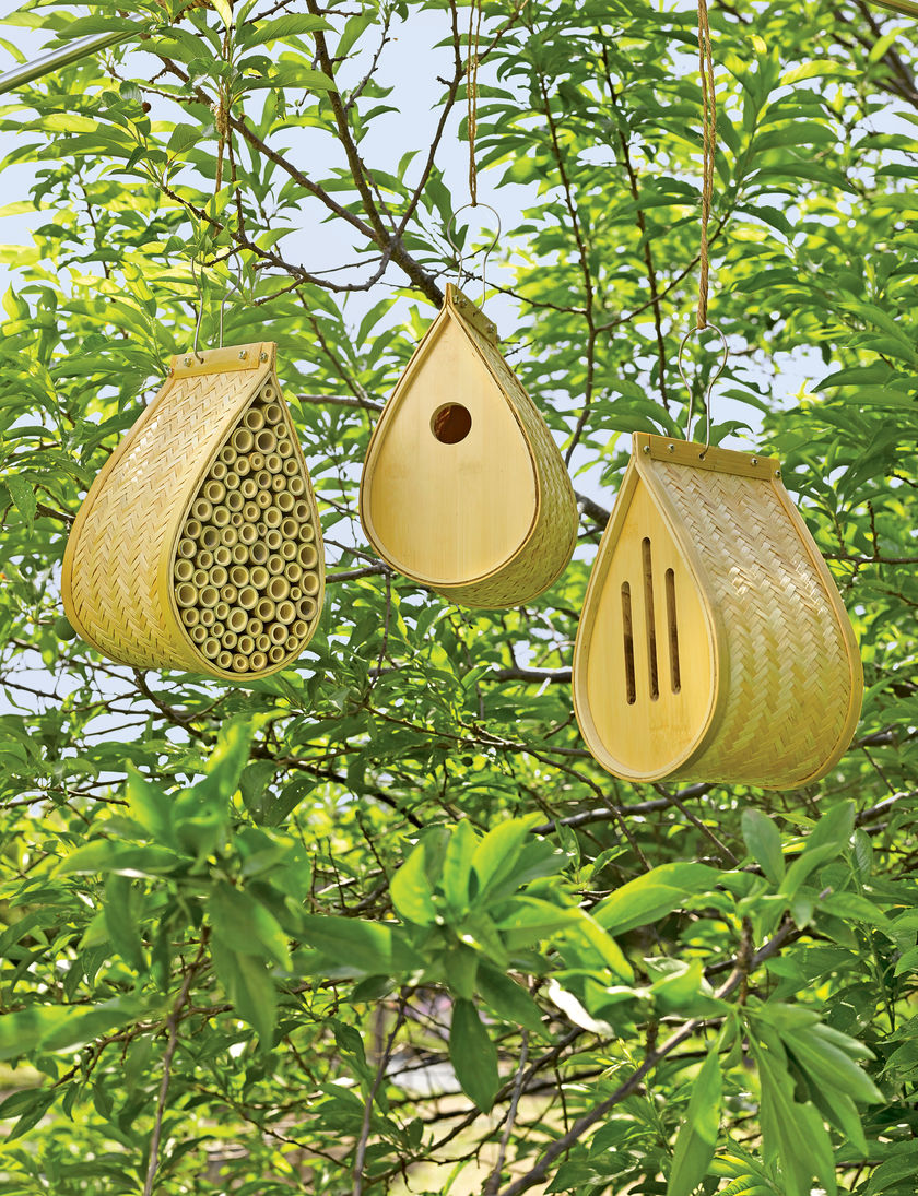 Bamboo Habitat Collection for birds, butterflies and bees