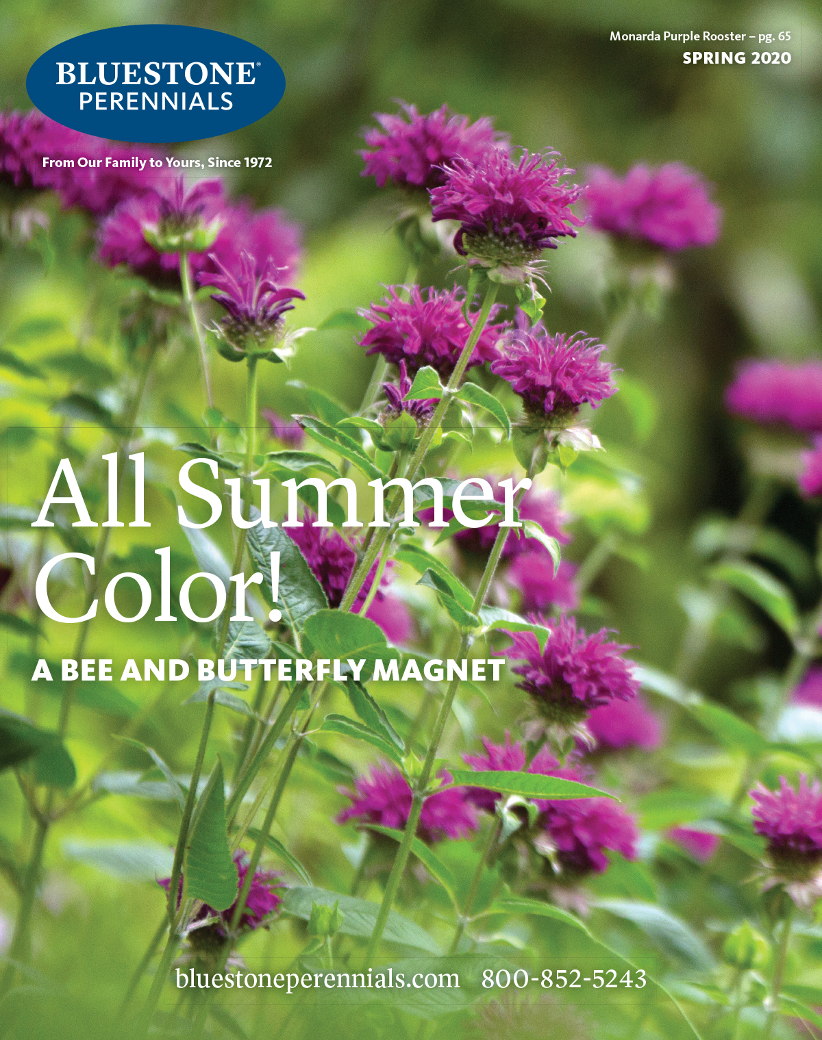 Bluestone-Perennials-Cover_Spring2020-300