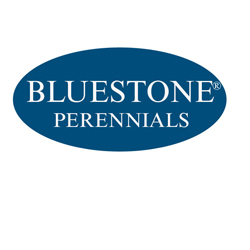 bluestone_perennials_logo_rgb