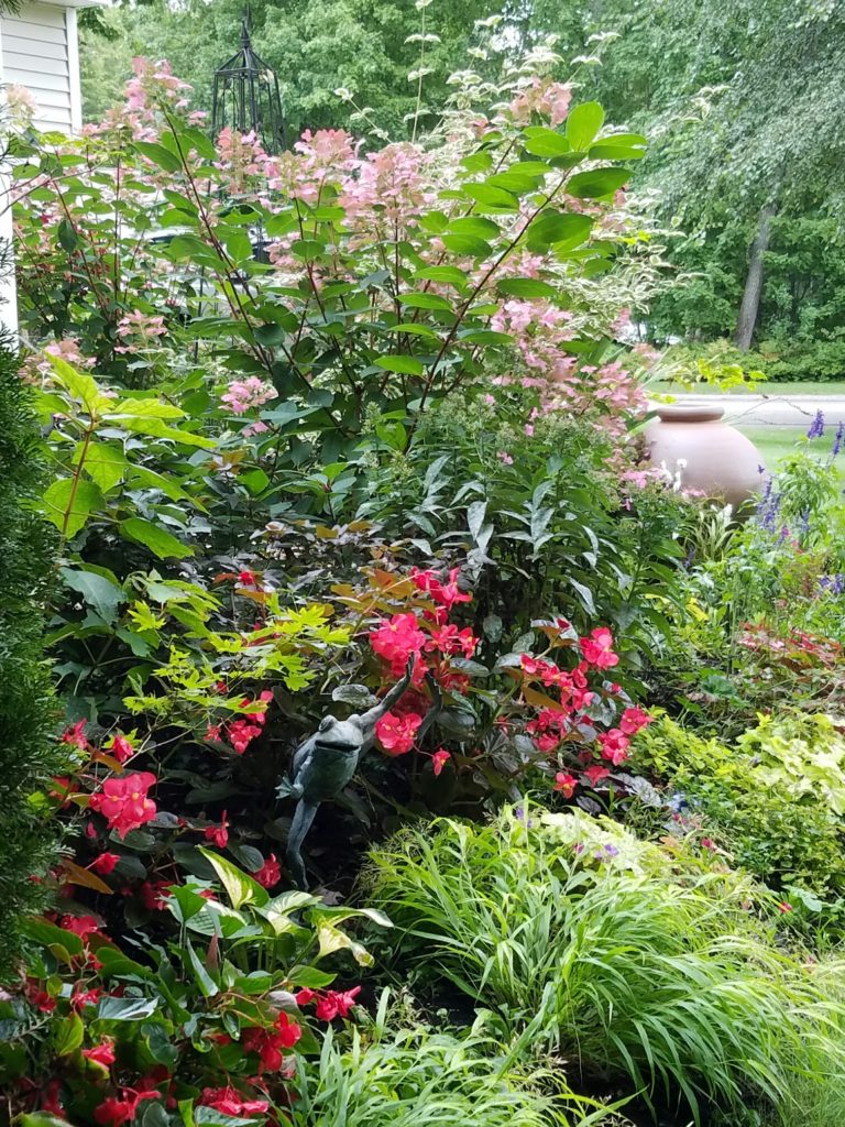 condo_kerry_house_side_plants_october_1 Perennially Yours