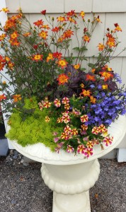 Flower Urn with Proven Winners