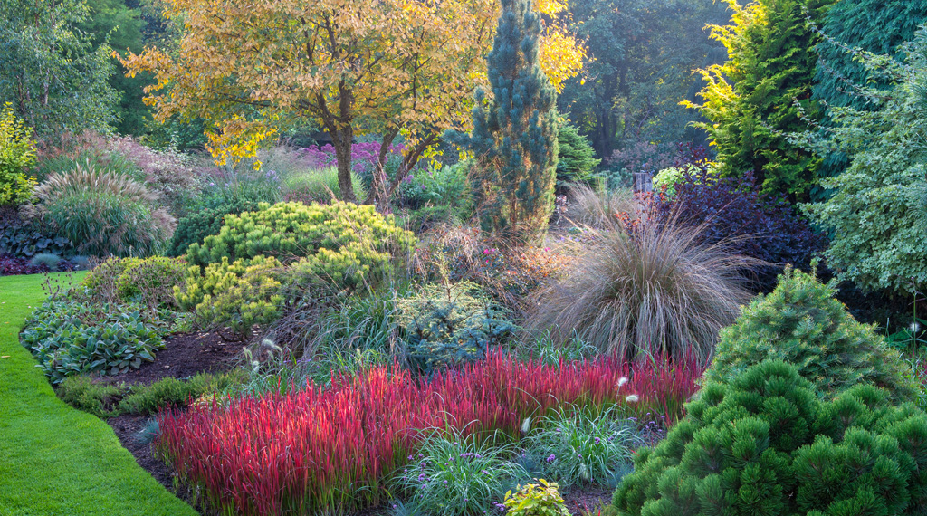 garden design Archives - Page 4 of 8 - Perennially Yours