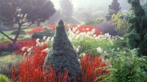 foggy_bottom_fall_garden_richard_bloom