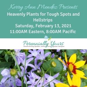 Heavenly Plants for Tough Spots and Hellstrips Heavenly Plants for Tough Spots and Hellstrips