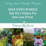 2018 video bundle