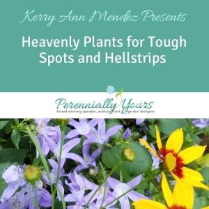 PYours-video-featured-Heavenly-Plants