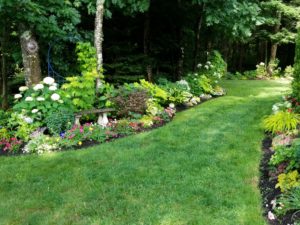 Side_Garden_Just_Before_Tear_out_July14_2016
