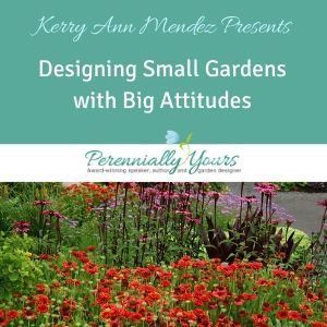 Video - Small Gardens With Big Attitudes