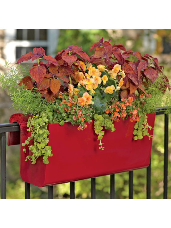 Huge Sale! 80% off gardening items at Gardener's Supply ...