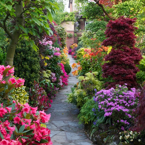 pathway-through-the-spring-middle-garden_Newton-500 pathway-through-the-spring-middle-garden_Newton-500
