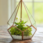 small-teardrop-glass-terrarium-for-tabletop_gardeners
