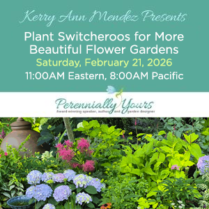 webinar_switcheroos_box